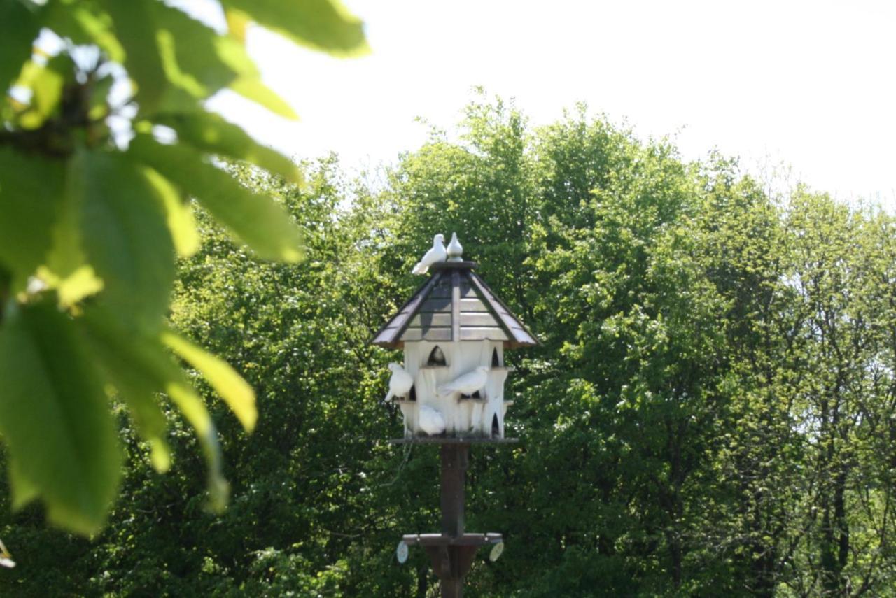 Cosy Barn On Rural Smallholding With Alpacas, Goats & Pigs Stithians Екстериор снимка